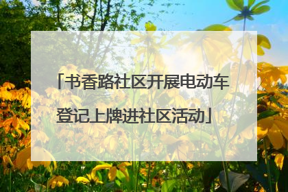 书香路社区开展电动车登记上牌进社区活动